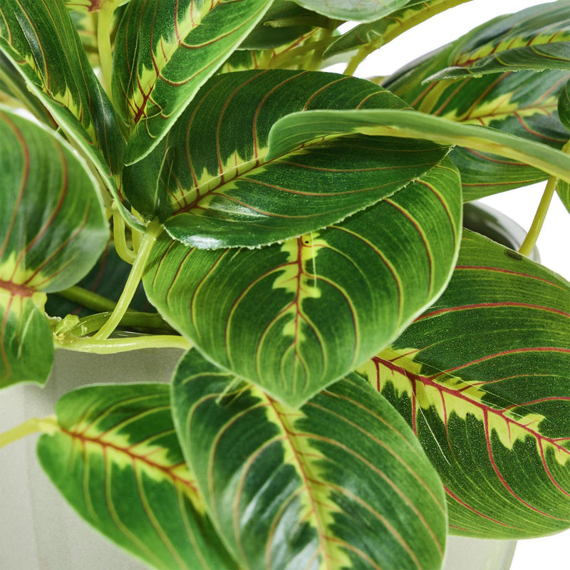 Sainbury's faux trailing leaf plant in grey ceramic pot, UK version