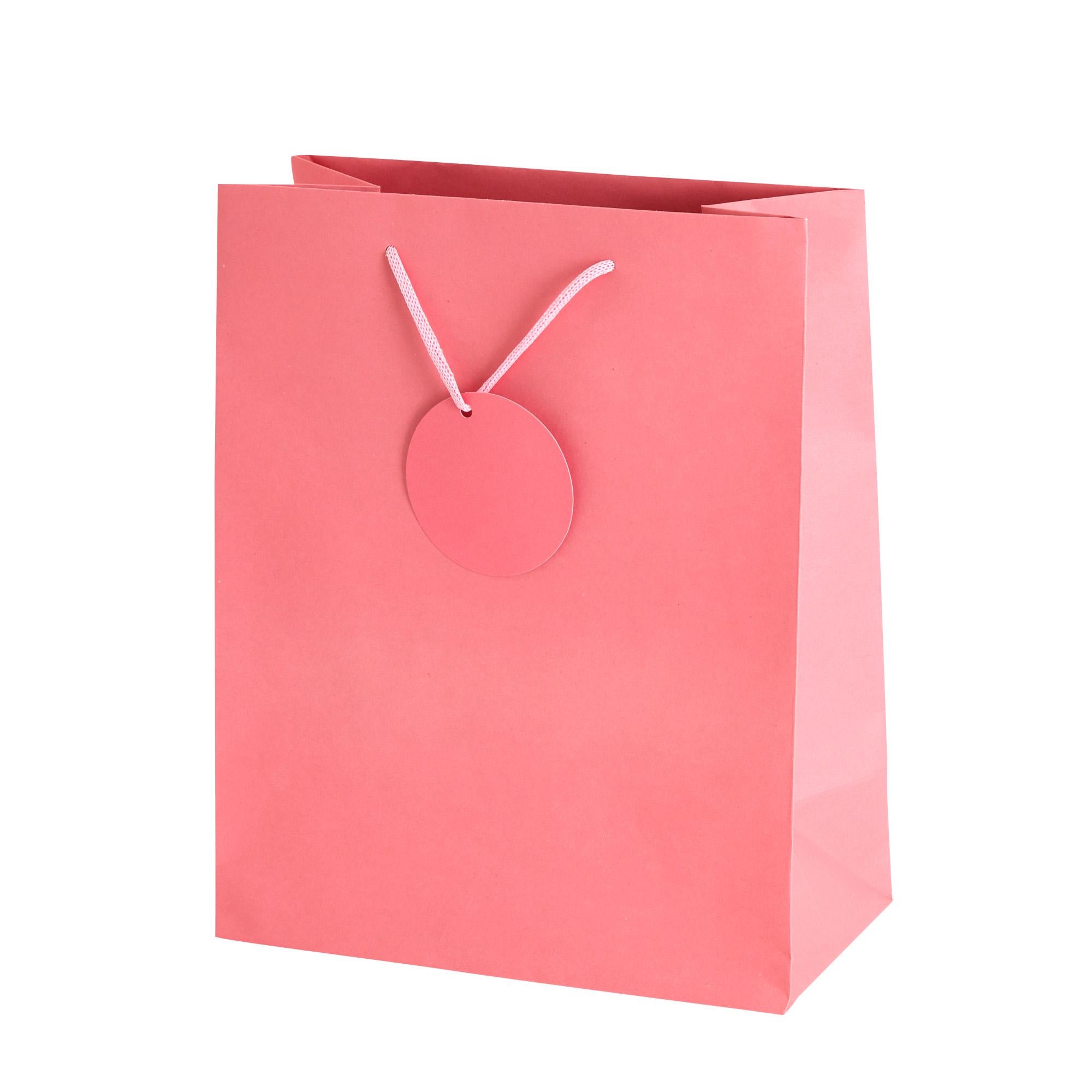 Sainsbury's Home green large gift bag with tag, imported from the UK