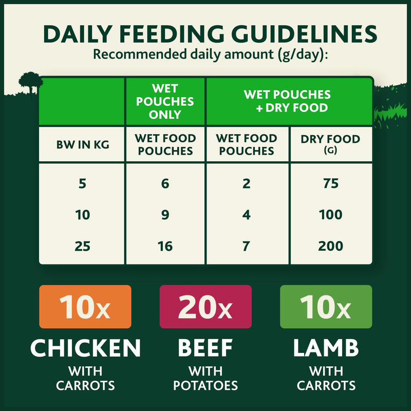 Winalot wet dog food Meaty Chunks Mixed in Gravy 40x100g (British brand)