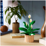 LEGO Botanicals Peace Lily building set 474 pieces, imported from the UK
