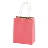 Sainsbury's Home pink mini papertwist gift bag, imported from the UK