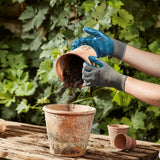 Briers large seed weed gloves blue, UK version