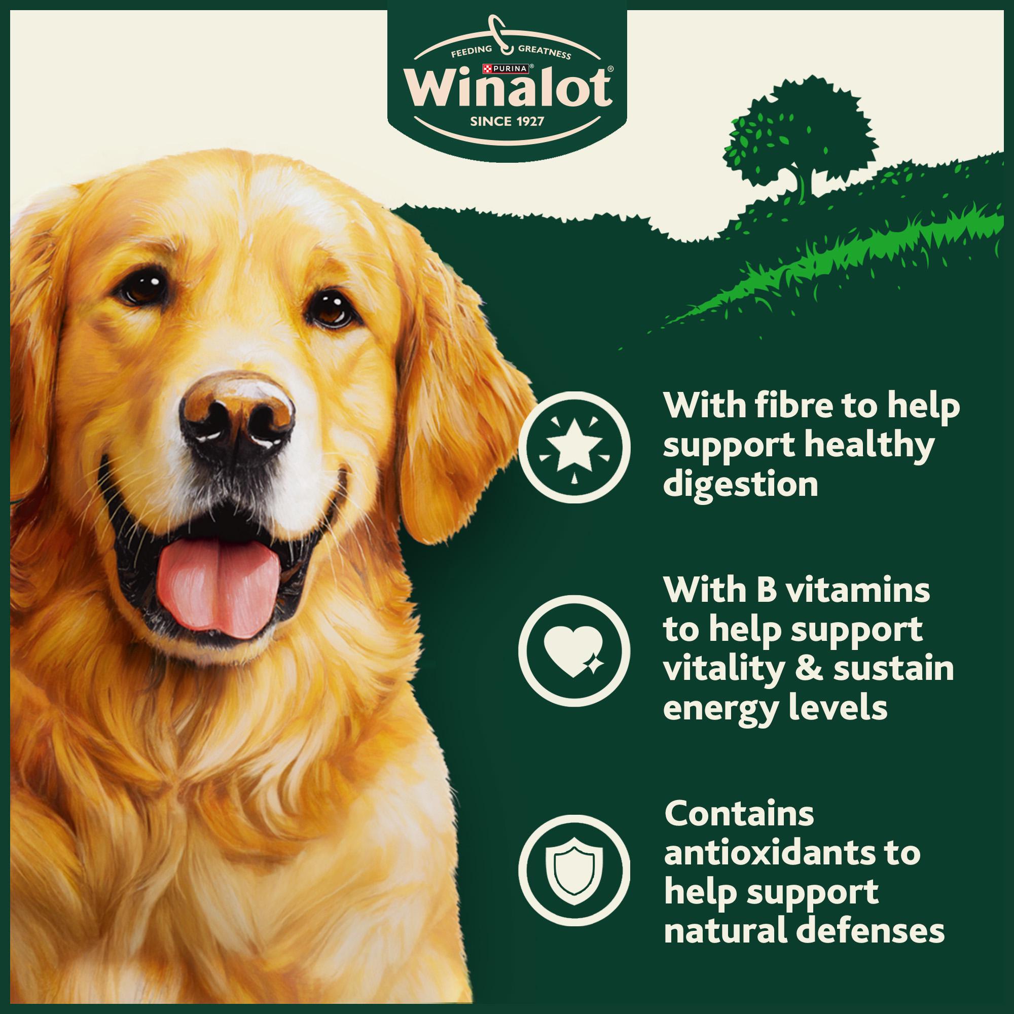 Winalot dog biscuits Shapes 800g, imported from the UK