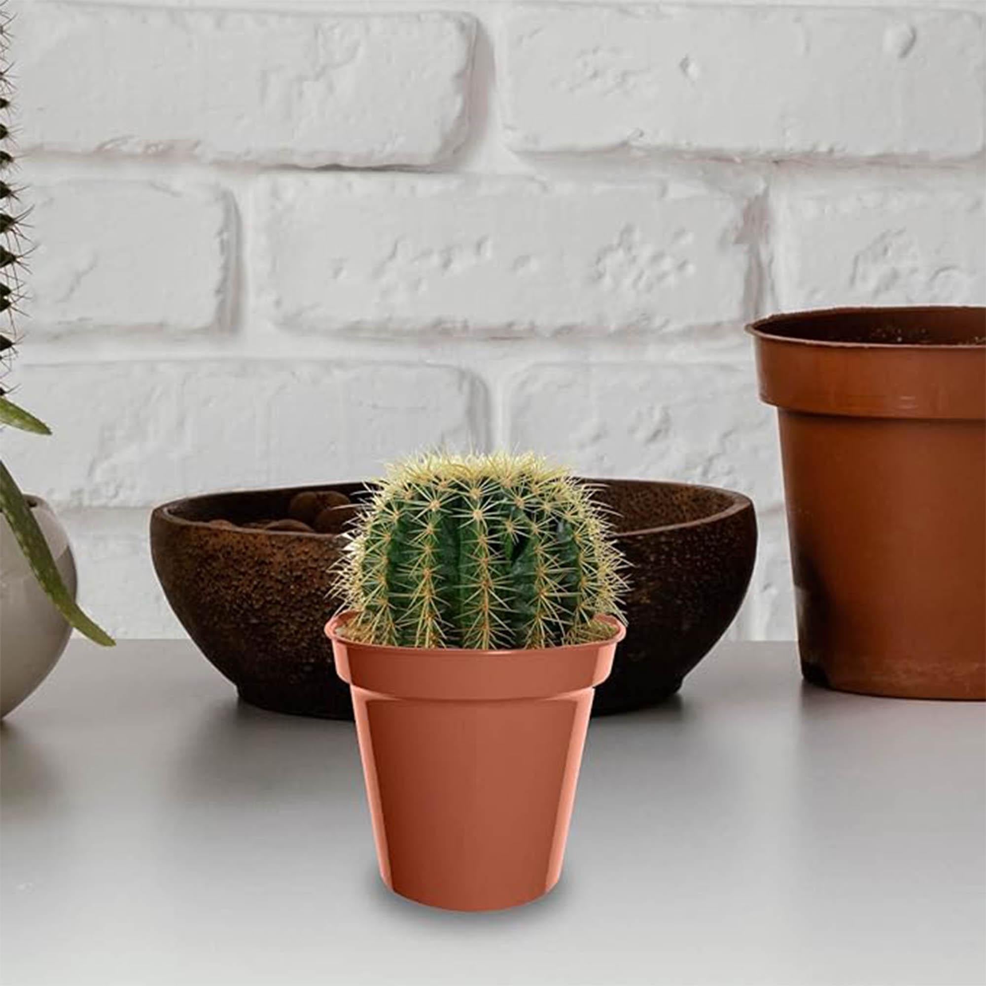 Whitefurze plastic pots pack of 10 7.5cm, imported from the UK