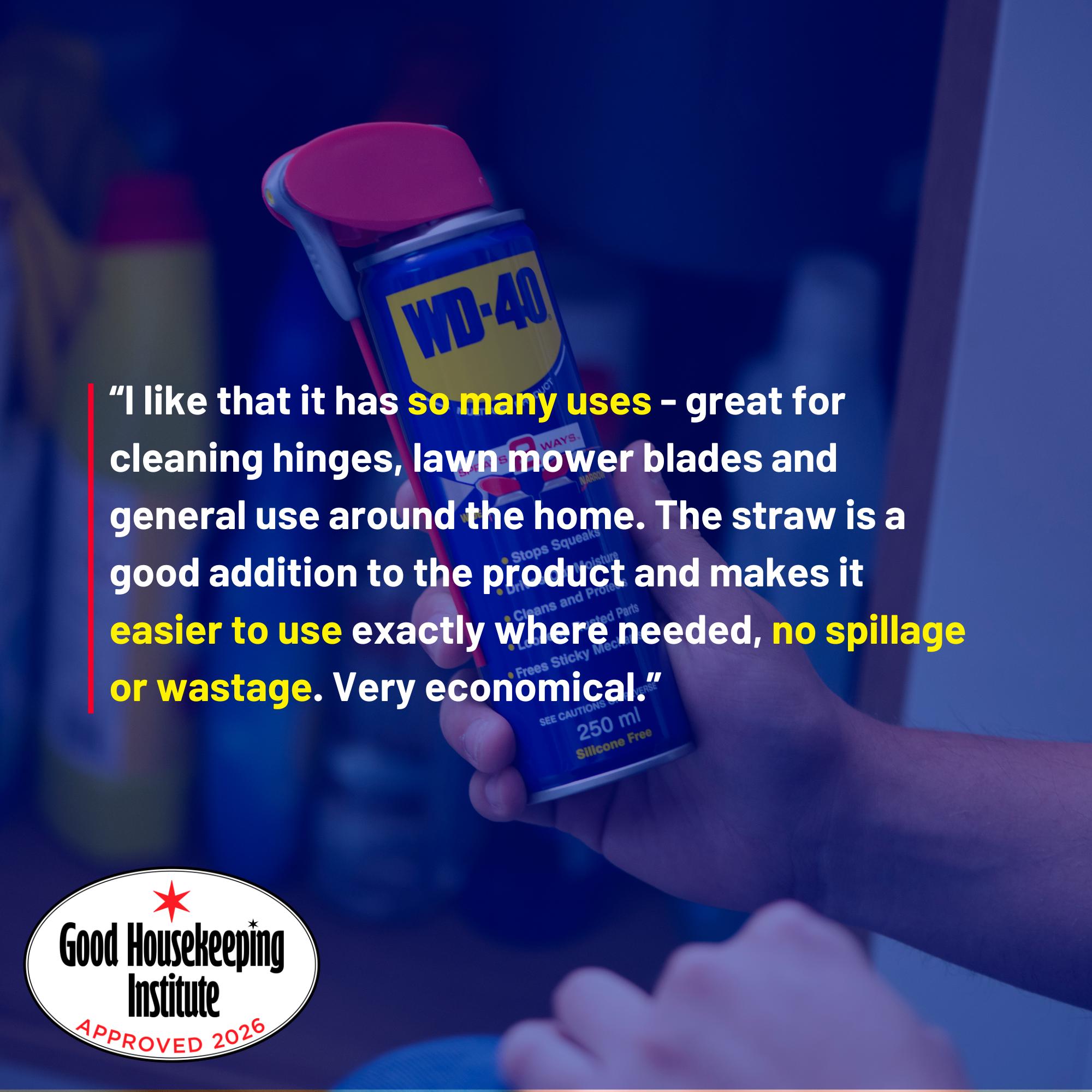 WD-40 Smart Straw multi-purpose lubricant 250ml (British brand)