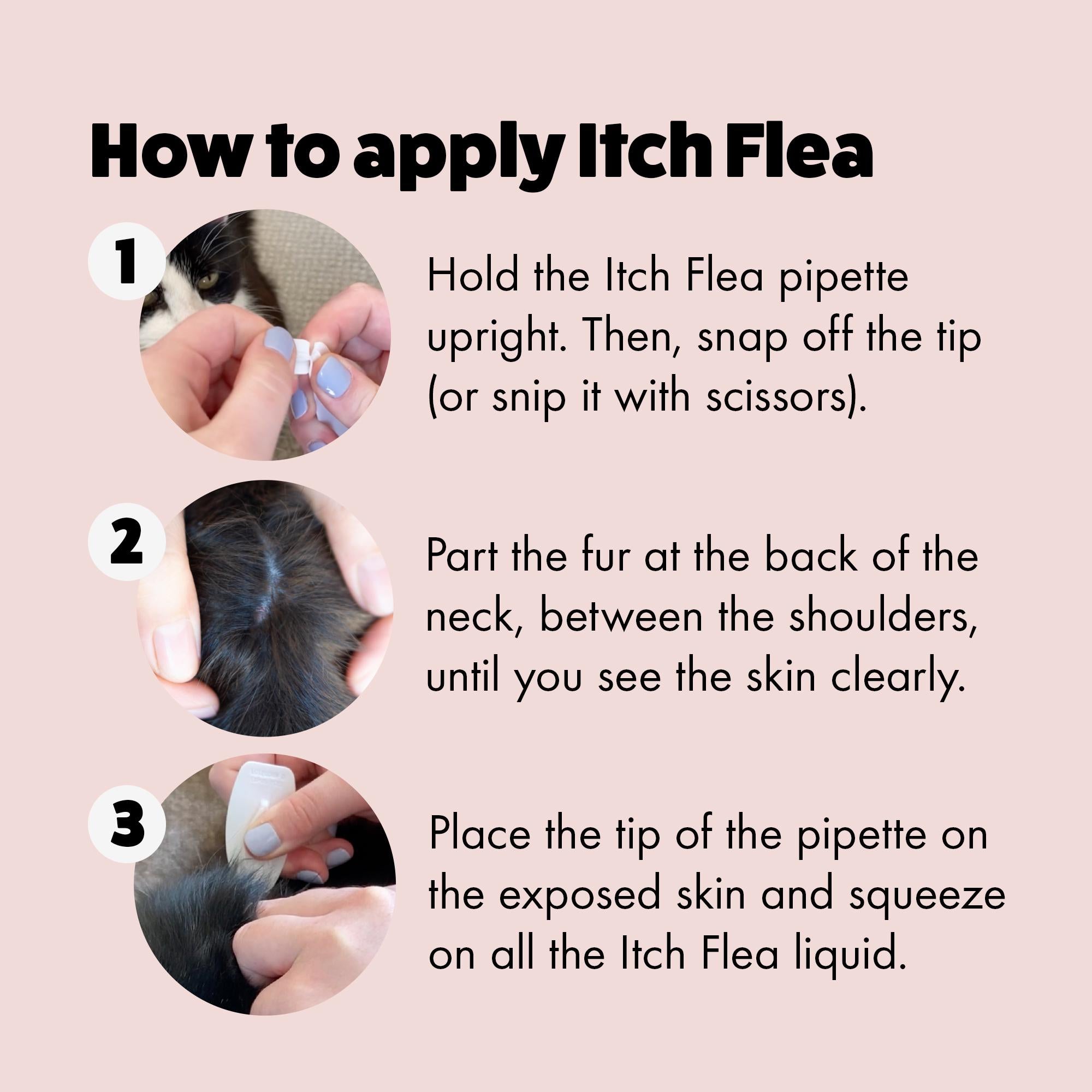 Itch Flea spot-on treatment for cats 3 pipettes (British brand)