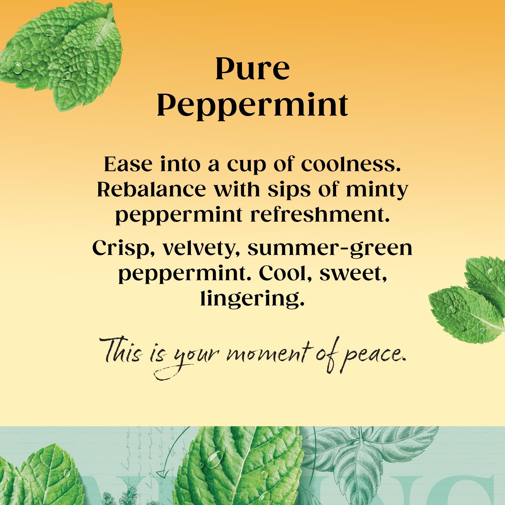 Twinings peppermint tea 20 tea bags, imported from the UK