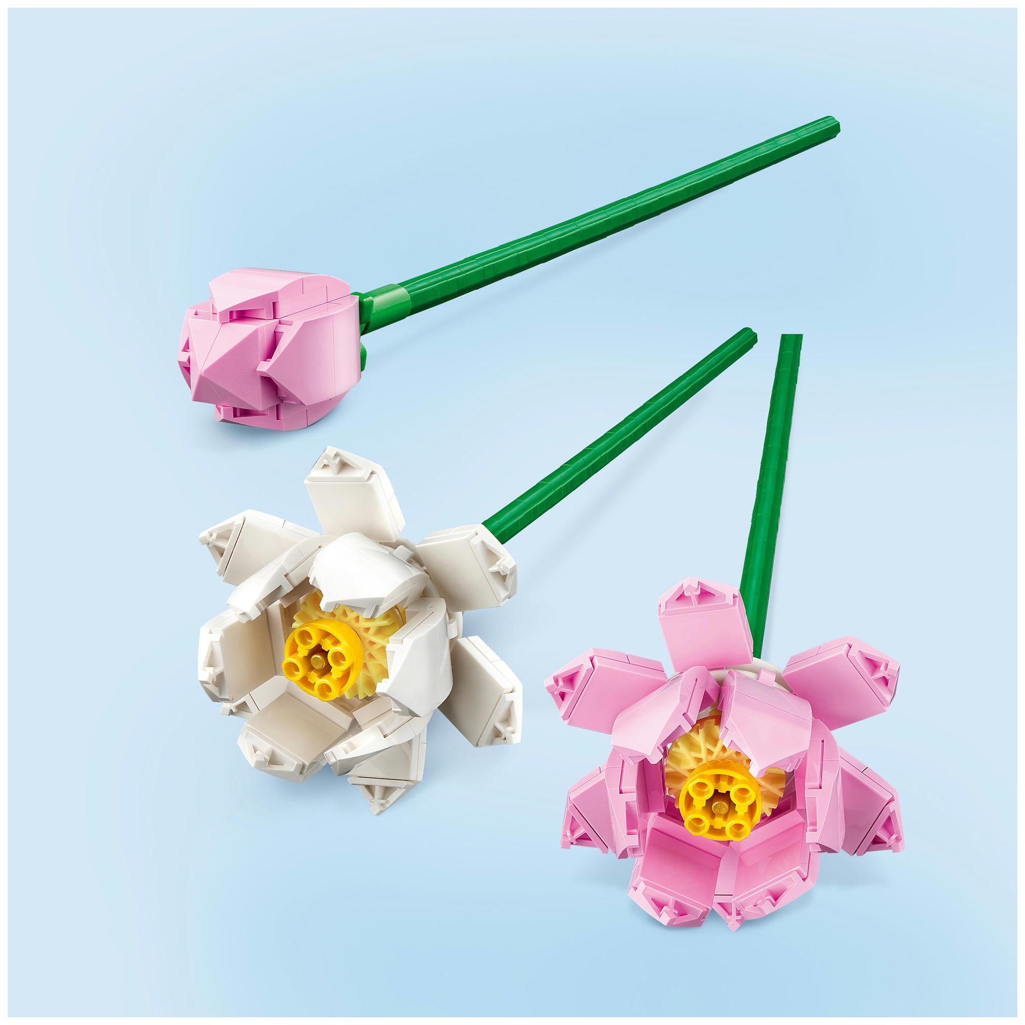 LEGO Botanicals Lotus Flowers building set 220 pieces (British brand)