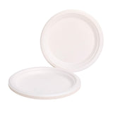 Sainsbury's Ultra Strength Bagasse Plates Pack of 10 (British brand)