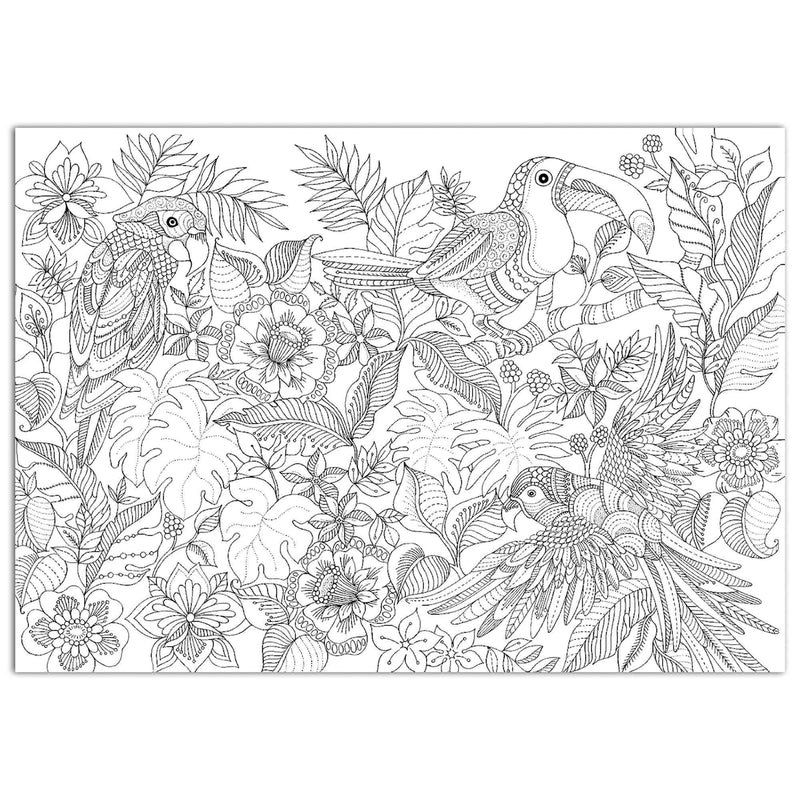Mindfulness colouring book with 64 pages of intricate patterns, imported from the UK