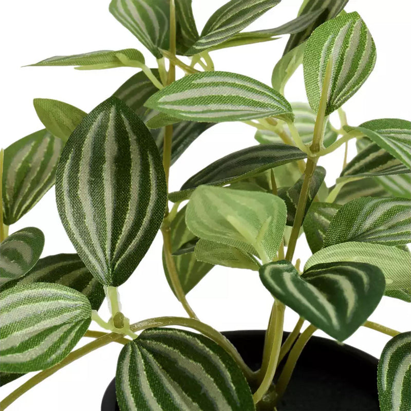 Habitat Artificial Green Small Trailing Plant 17cm, UK version