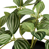Habitat Artificial Green Small Trailing Plant 17cm, UK version