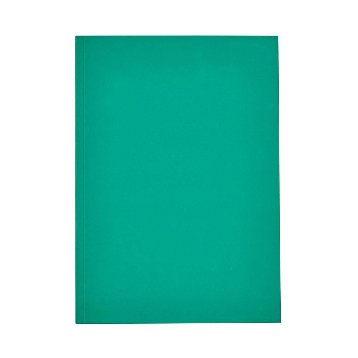 Sainsbury's A4 green notebook (British brand)