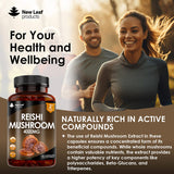 New Leaf Reishi Mushroom Capsules 4000mg 120 capsules, imported from the UK