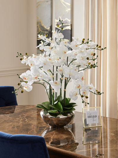 Next White Real Touch Artificial Orchid in Large Silver Pot Tabletop Plant- Buy online at McGrocer