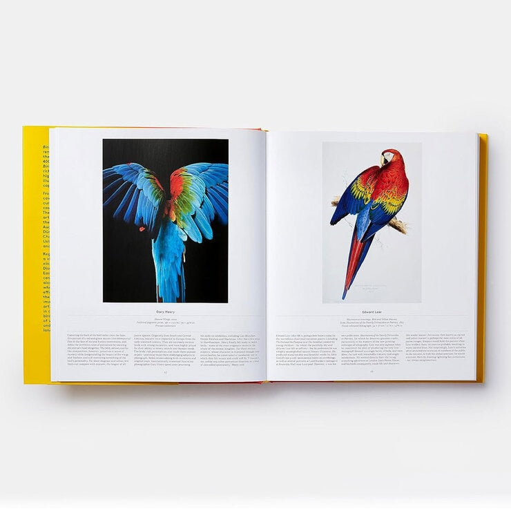 Phaidon Exploring Range book on birds and flowers (British brand)