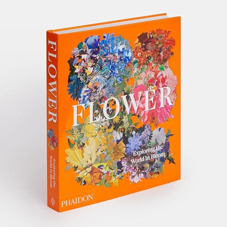 Phaidon Exploring Range book on birds and flowers (British brand)