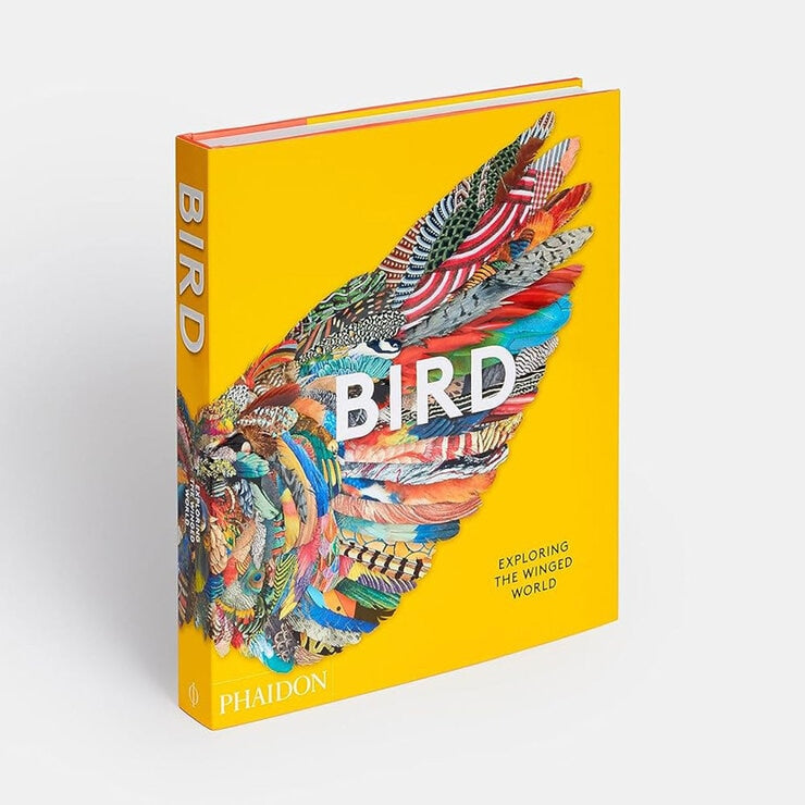 Phaidon Exploring Range book on birds and flowers (British brand)