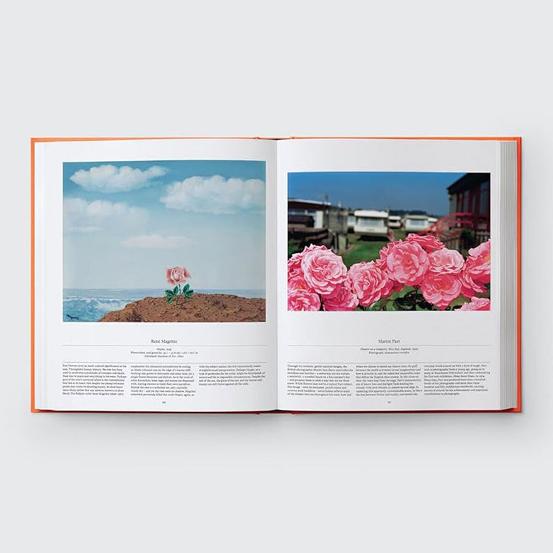 Phaidon Exploring Range book on birds and flowers (British brand)