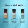 Tisserand organic eucalyptus pure essential oil 9ml (British brand)