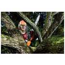 Black + Decker 36V cordless chainsaw with 30cm bar - British product