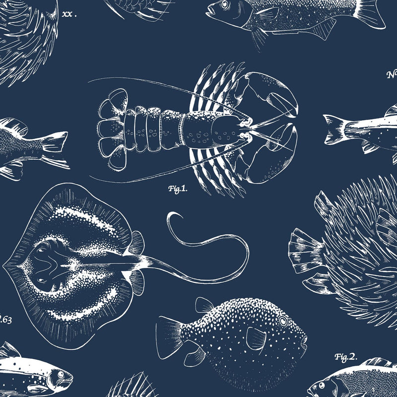 Contour Navy wallpaper 10m roll - British product