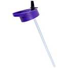 Zak Rainbow High sipper water bottle 600ml (British brand)