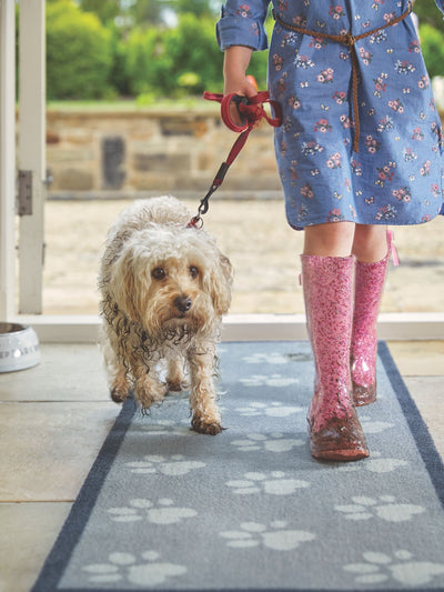Next Howler & Scratch Multi Big Paws Washable Runner 150cm x 50cm- Buy online at McGrocer
