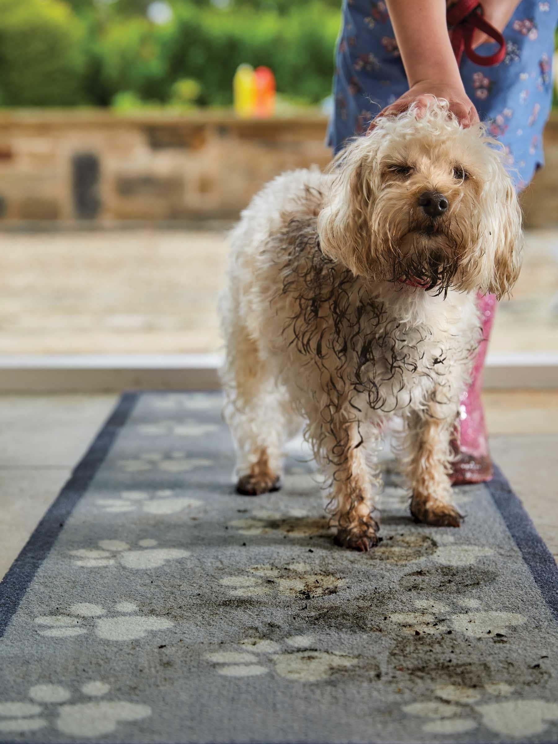 Howler & Scratch washable runner rug 150cm x 50cm (British brand)