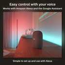 Philips Hue Smart Lightstrip 2M 1M Extension, imported from the UK
