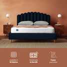 Silentnight Oriana double velvet bed frame in green (British brand)