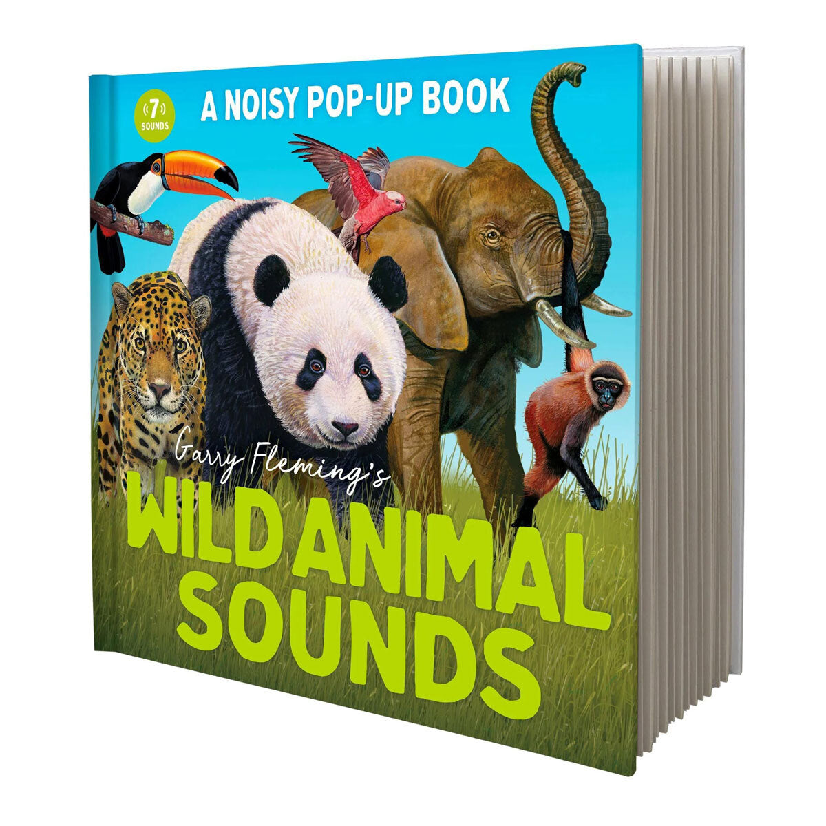 Garry Fleming interactive sound book for toddlers - British product