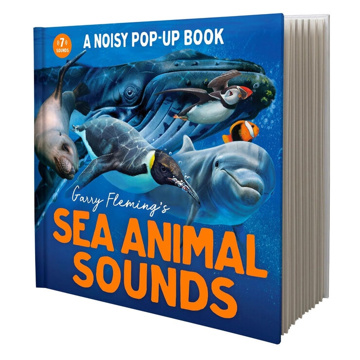 Garry Fleming interactive sound book for toddlers - British product