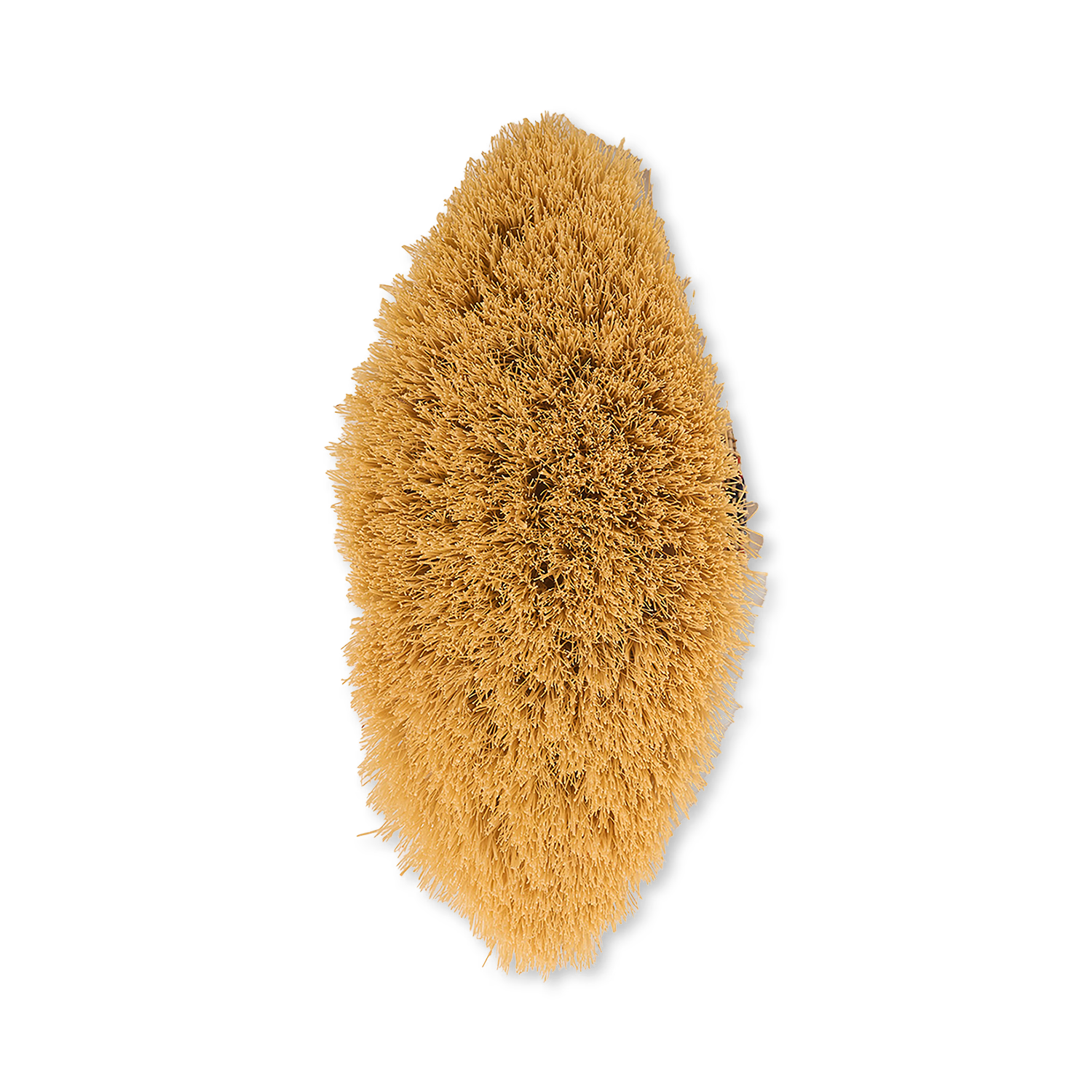 Vegan cactus bristle dry body brush - British product