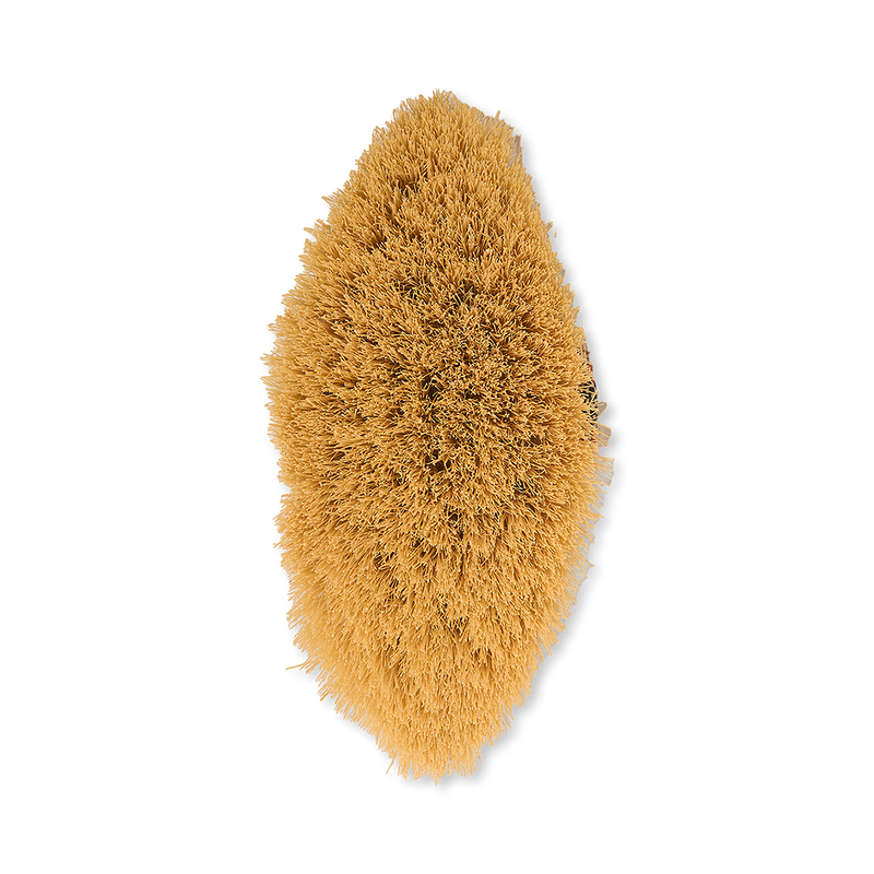 Vegan cactus bristle dry body brush - British product