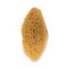 Vegan cactus bristle dry body brush - British product