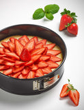 Tala springform cake tin 20cm (British brand)