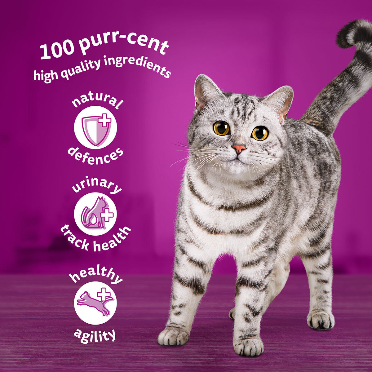 Whiskas Poultry Feast in Jelly Pouches 7+, 40 x 85g GOODS Costco UK