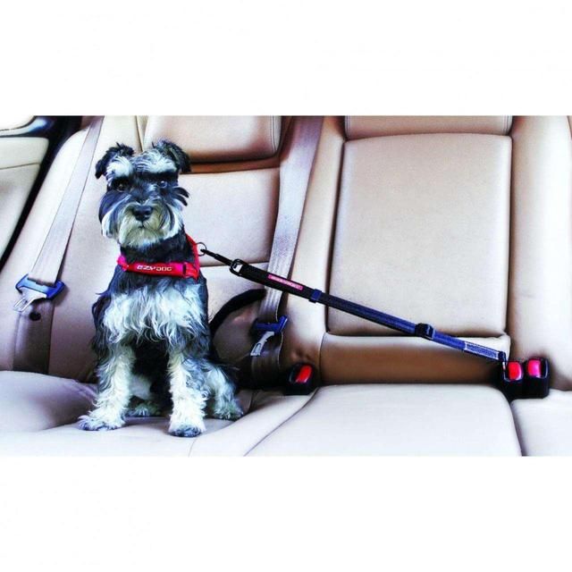 EzyDog Click-In Adjustable Dog Car Seatbelt Attachment