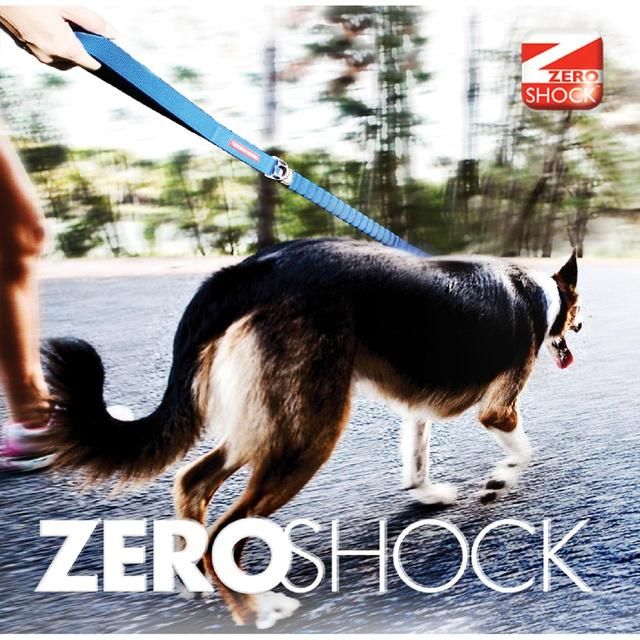 EzyDog Zero Shock Dog Lead Blue 48\ GOODS M&S   