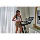 Echelon Stride 6S-10 folding treadmill 83kg - British product