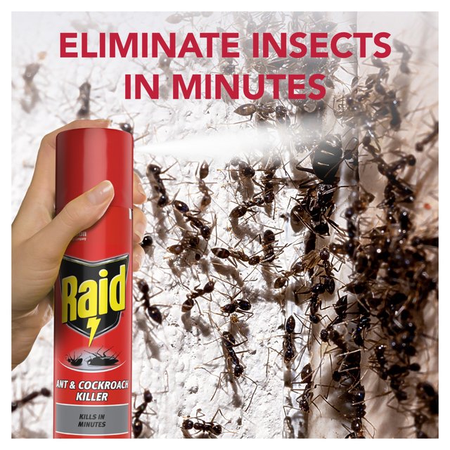 Raid Ant & Cockroach Killer   300ml GOODS M&S   