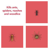 Raid Ant & Cockroach Killer   300ml GOODS M&S   