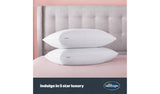 Silentnight Hotel Collection Firm Pillow 2 Pack (British brand)