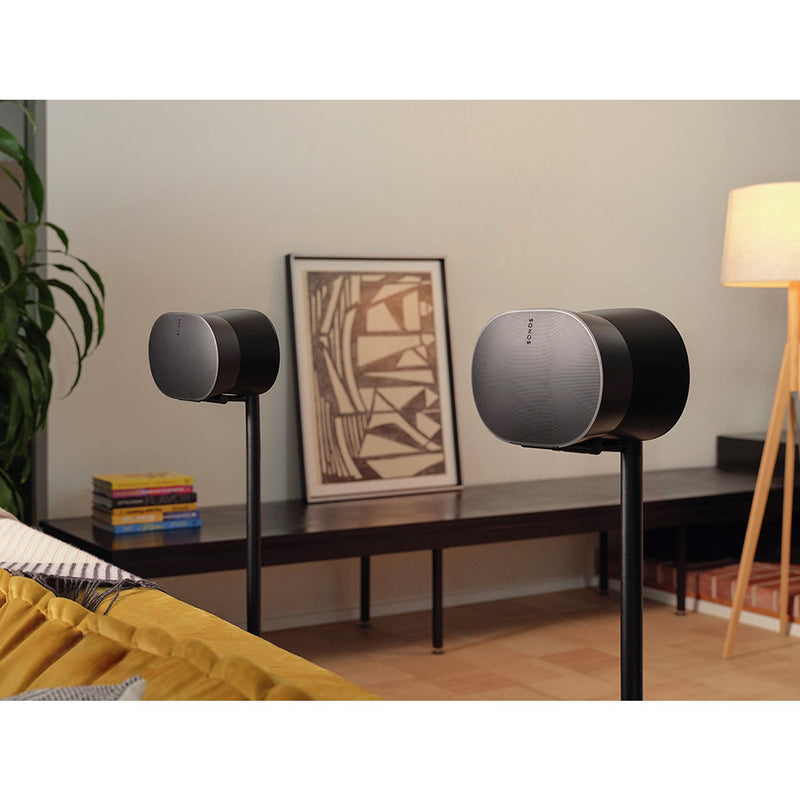 Sonos Era 300 Wireless Smart Speaker - Black