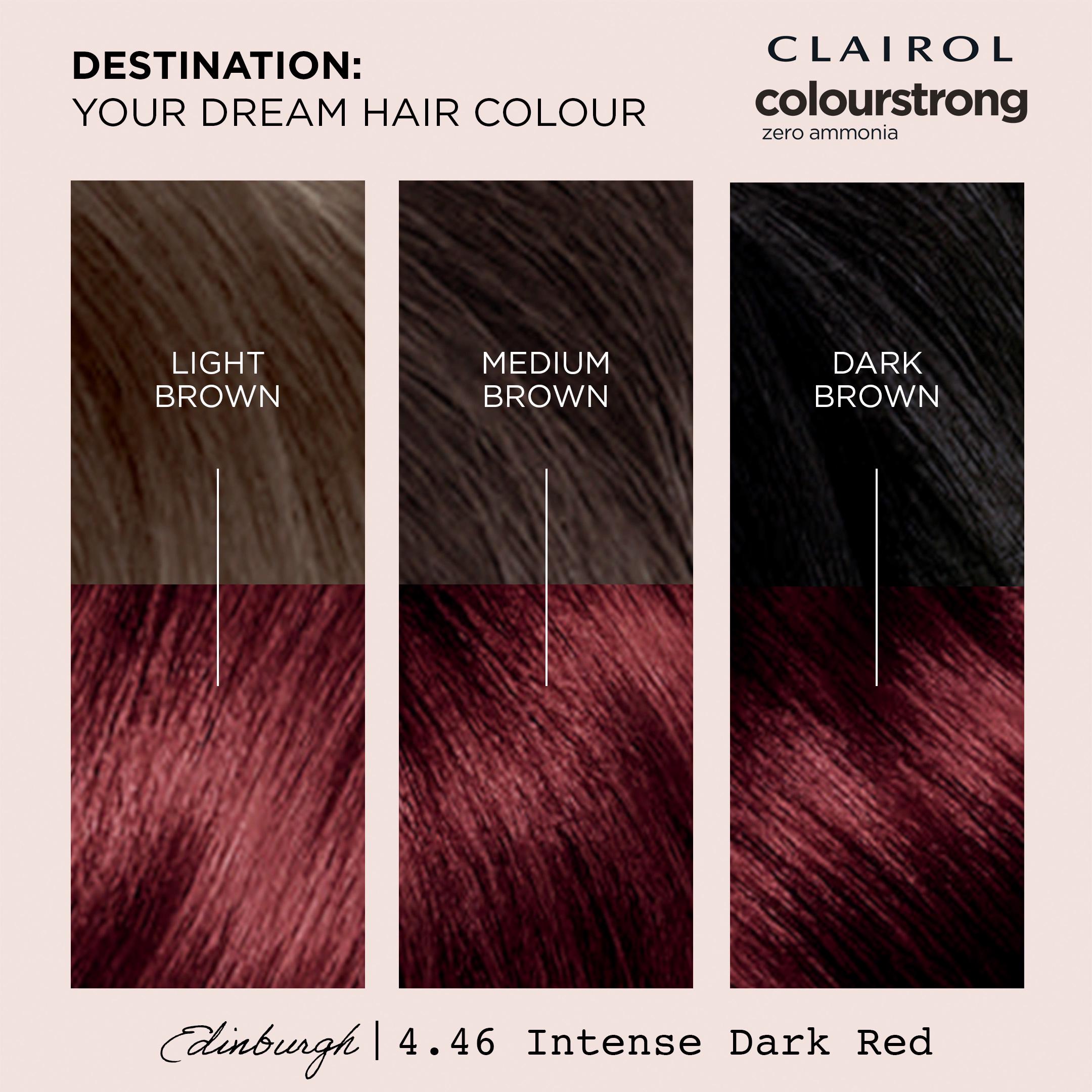 Clairol Colour Strong permanent hair dye Intense Dark Red 4.46 - British product
