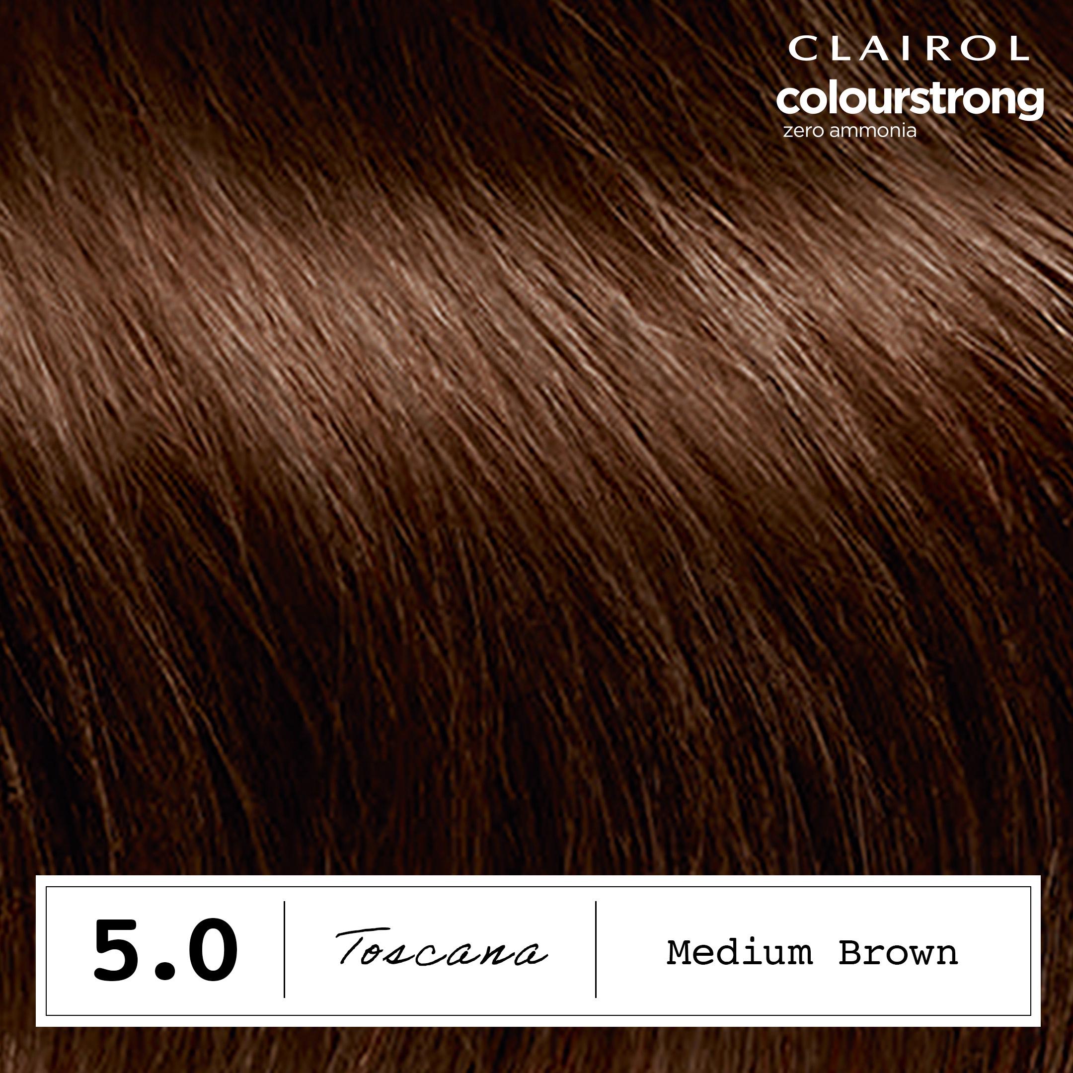 Clairol Colour Strong permanent hair dye Medium Brown 5.0 (British brand)