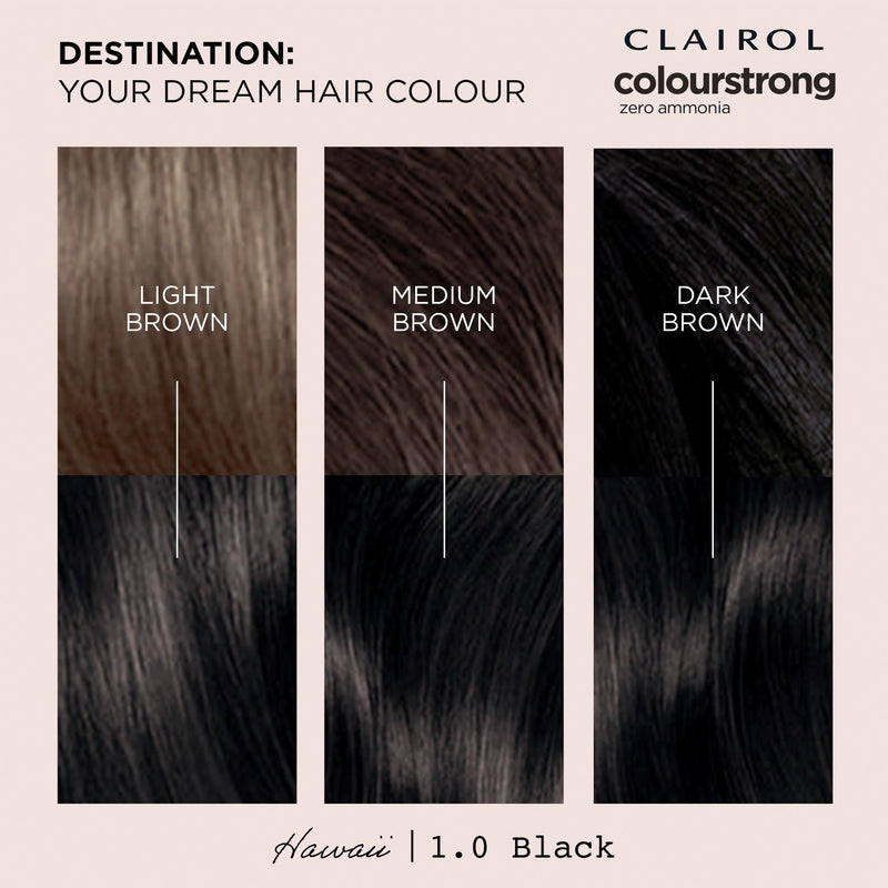Clairol Colour Strong Black hair dye 1.0, imported from the UK