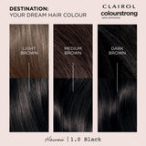 Clairol Colour Strong Black hair dye 1.0, imported from the UK