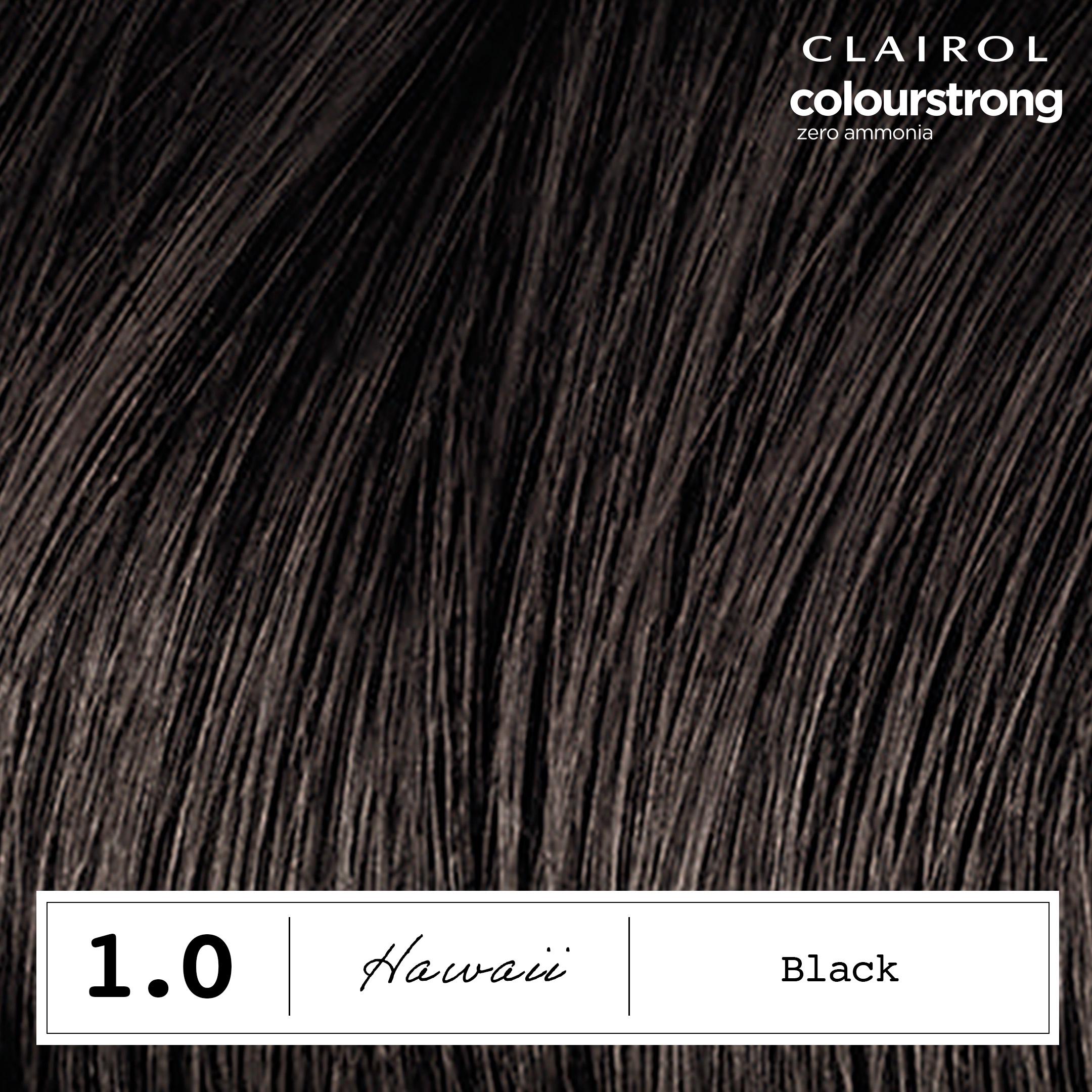Clairol Colour Strong Black hair dye 1.0, imported from the UK